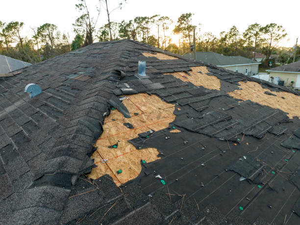 Best Roof Ventilation Installation  in Kingsland, TX